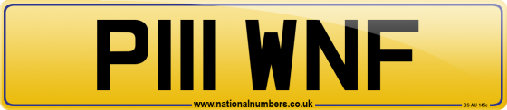 P111 WNF