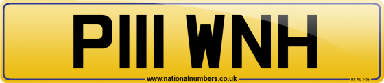 P111 WNH