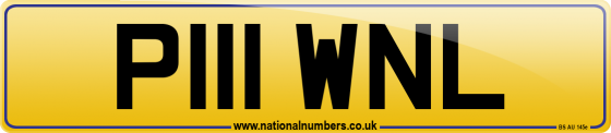 P111 WNL