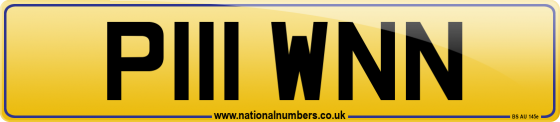 P111 WNN