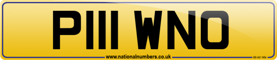 P111 WNO
