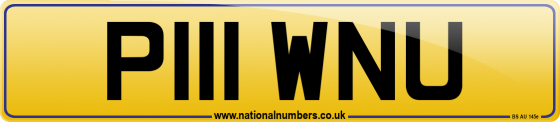 P111 WNU