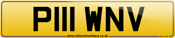 P111 WNV