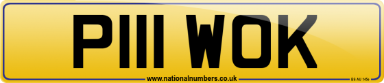 P111 WOK