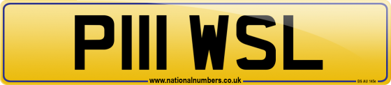 P111 WSL
