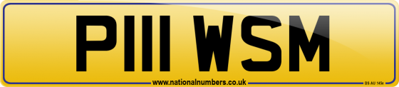 P111 WSM