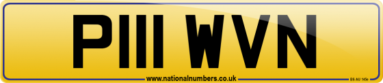P111 WVN