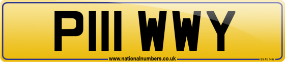 P111 WWY