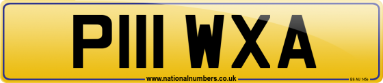 P111 WXA