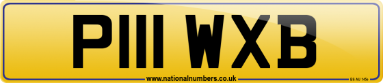 P111 WXB