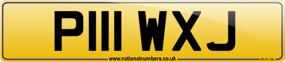 P111 WXJ