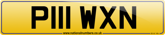 P111 WXN