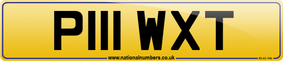 P111 WXT