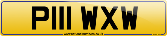 P111 WXW