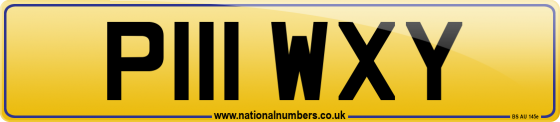 P111 WXY