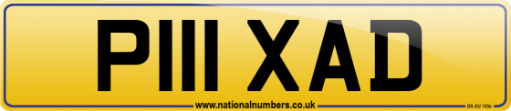 P111 XAD