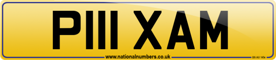 P111 XAM