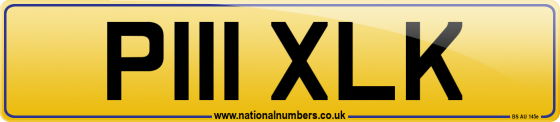 P111 XLK