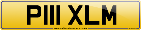 P111 XLM