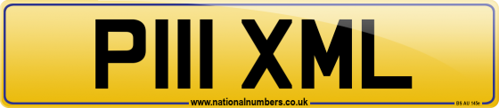 P111 XML