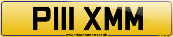 P111 XMM