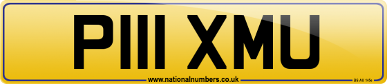 P111 XMU
