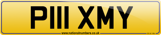 P111 XMY