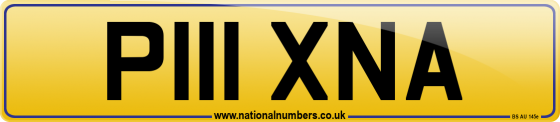 P111 XNA