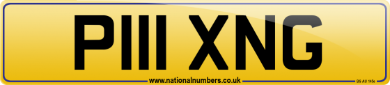 P111 XNG