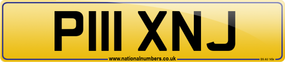 P111 XNJ