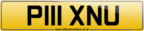 P111 XNU