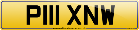 P111 XNW