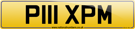 P111 XPM