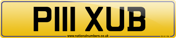P111 XUB