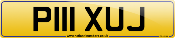 P111 XUJ