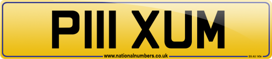P111 XUM