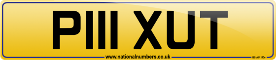 P111 XUT