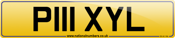 P111 XYL