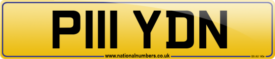 P111 YDN