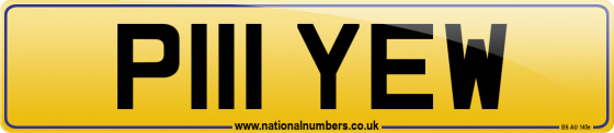 P111 YEW