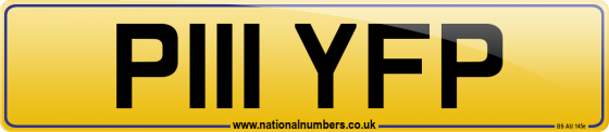 P111 YFP
