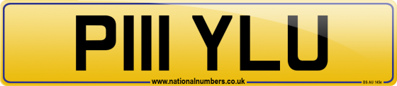 P111 YLU