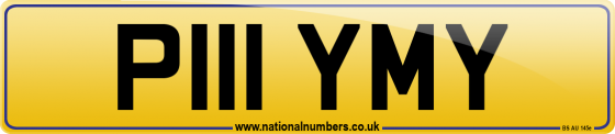 P111 YMY