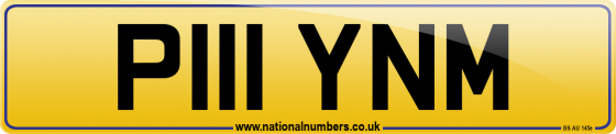 P111 YNM