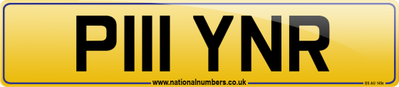 P111 YNR