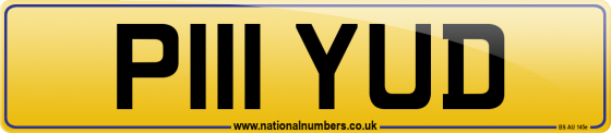 P111 YUD
