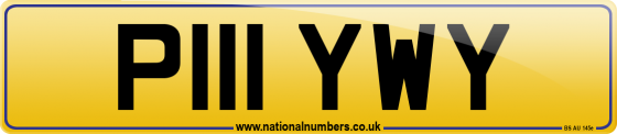 P111 YWY