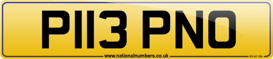 P113 PNO