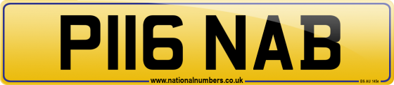 P116 NAB