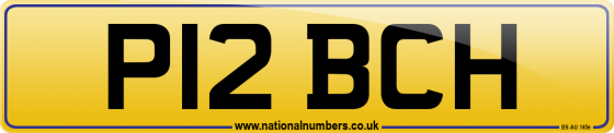 P12 BCH